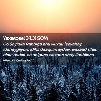 Picture 02 - Yexesqeel 34:31 SOM - Oo Sayidka Rabbiga ahu wuxuu leeyahay, - Bible Verse Picture