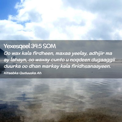 Picture 02 - Yexesqeel 34:5 SOM - Oo wax kala firdheen, maxaa yeelay, adhijir ma ay - Bible Verse Picture