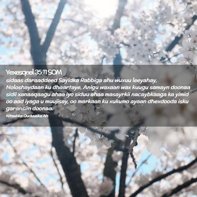 Picture 02 - Yexesqeel 35:11 SOM - sidaas daraaddeed Sayidka Rabbiga ahu wuxuu - Bible Verse Picture