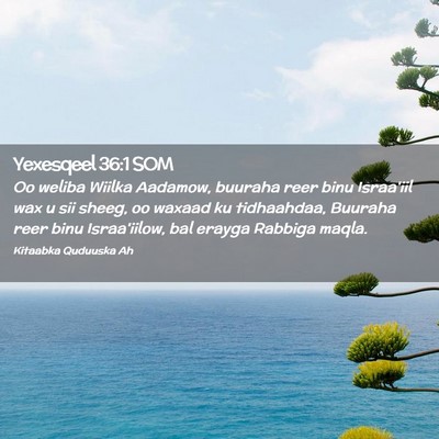 Picture 02 - Yexesqeel 36:1 SOM - Oo weliba Wiilka Aadamow, buuraha reer binu - Bible Verse Picture