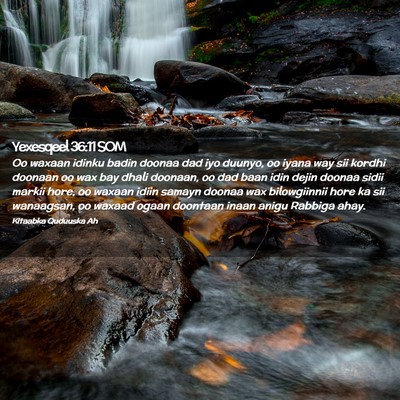 Picture 02 - Yexesqeel 36:11 SOM - Oo waxaan idinku badin doonaa dad iyo duunyo, oo - Bible Verse Picture
