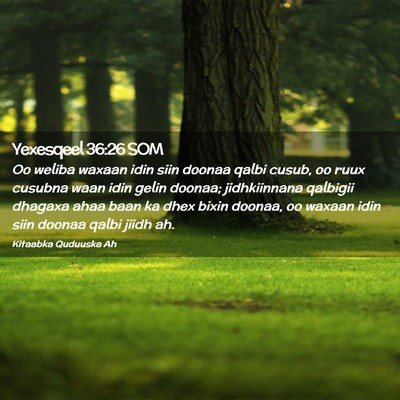 Picture 02 - Yexesqeel 36:26 SOM - Oo weliba waxaan idin siin doonaa qalbi cusub, oo - Bible Verse Picture
