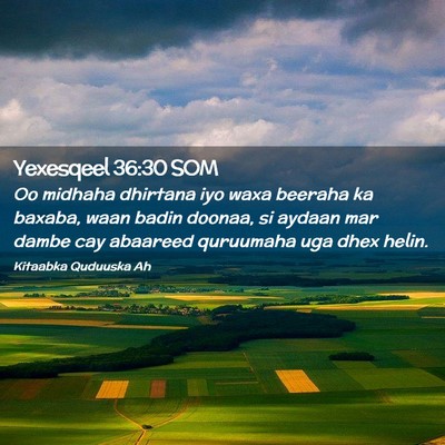 Picture 02 - Yexesqeel 36:30 SOM - Oo midhaha dhirtana iyo waxa beeraha ka baxaba, - Bible Verse Picture