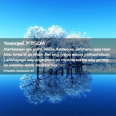 Picture 02 - Yexesqeel 37:11 SOM - Markaasuu igu yidhi, Wiilka Aadamow, lafahanu waa - Bible Verse Picture