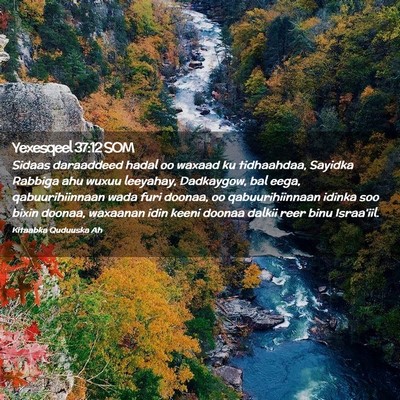 Picture 02 - Yexesqeel 37:12 SOM - Sidaas daraaddeed hadal oo waxaad ku tidhaahdaa, - Bible Verse Picture