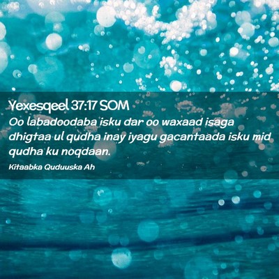 Picture 02 - Yexesqeel 37:17 SOM - Oo labadoodaba isku dar oo waxaad isaga dhigtaa - Bible Verse Picture