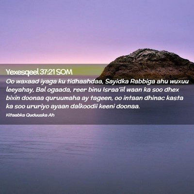 Picture 02 - Yexesqeel 37:21 SOM - Oo waxaad iyaga ku tidhaahdaa, Sayidka Rabbiga - Bible Verse Picture
