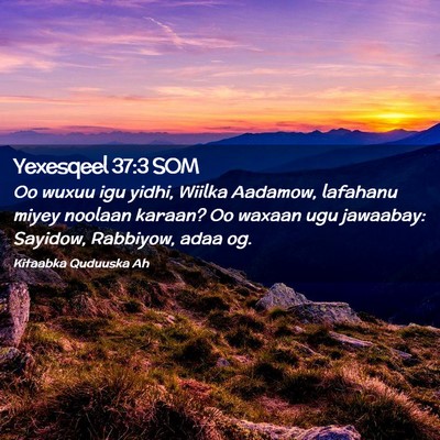 Picture 02 - Yexesqeel 37:3 SOM - Oo wuxuu igu yidhi, Wiilka Aadamow, lafahanu - Bible Verse Picture