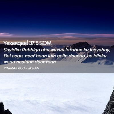 Picture 02 - Yexesqeel 37:5 SOM - Sayidka Rabbiga ahu wuxuu lafahan ku leeyahay, - Bible Verse Picture
