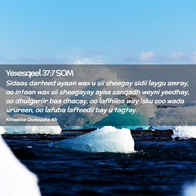 Picture 02 - Yexesqeel 37:7 SOM - Sidaas darteed ayaan wax u sii sheegay sidii - Bible Verse Picture
