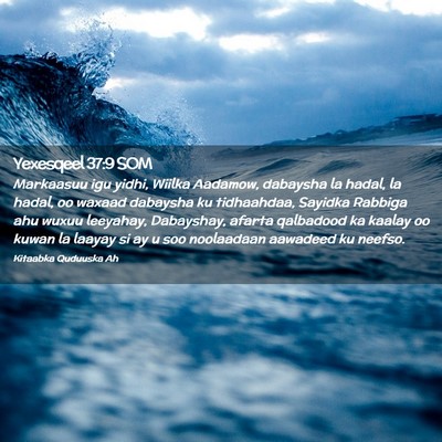 Picture 02 - Yexesqeel 37:9 SOM - Markaasuu igu yidhi, Wiilka Aadamow, dabaysha la - Bible Verse Picture