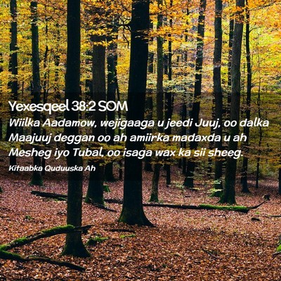 Picture 02 - Yexesqeel 38:2 SOM - Wiilka Aadamow, wejigaaga u jeedi Juuj, oo dalka - Bible Verse Picture