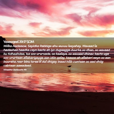 Picture 02 - Yexesqeel 39:17 SOM - Wiilka Aadamow, Sayidka Rabbiga ahu wuxuu - Bible Verse Picture
