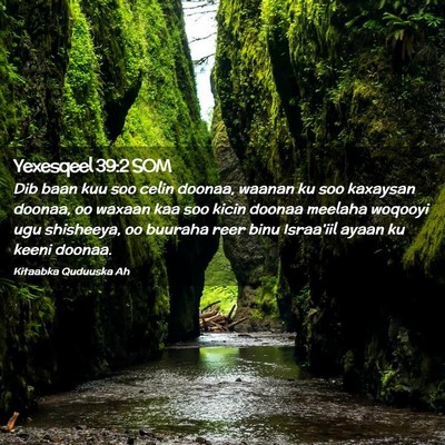 Picture 02 - Yexesqeel 39:2 SOM - Dib baan kuu soo celin doonaa, waanan ku soo - Bible Verse Picture