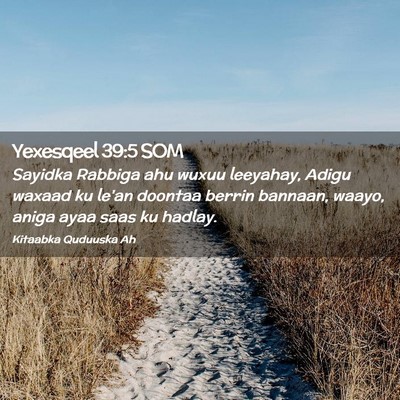 Picture 02 - Yexesqeel 39:5 SOM - Sayidka Rabbiga ahu wuxuu leeyahay, Adigu waxaad - Bible Verse Picture