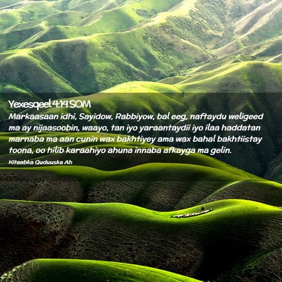 Picture 02 - Yexesqeel 4:14 SOM - Markaasaan idhi, Sayidow, Rabbiyow, bal eeg, - Bible Verse Picture
