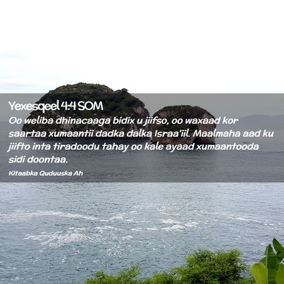 Picture 02 - Yexesqeel 4:4 SOM - Oo weliba dhinacaaga bidix u jiifso, oo waxaad - Bible Verse Picture