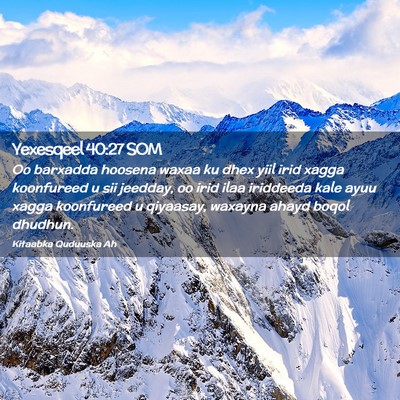 Picture 02 - Yexesqeel 40:27 SOM - Oo barxadda hoosena waxaa ku dhex yiil irid xagga - Bible Verse Picture