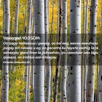 Picture 02 - Yexesqeel 40:3 SOM - Oo isagu halkaasuu i geeyey, oo bal eeg, waxaa - Bible Verse Picture