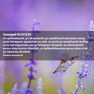 Picture 02 - Yexesqeel 40:33 SOM - Oo qolladaheedii, iyo tiirarkeedii, iyo - Bible Verse Picture