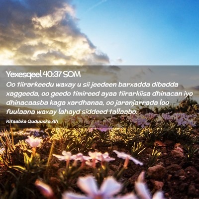 Picture 02 - Yexesqeel 40:37 SOM - Oo tiirarkeedu waxay u sii jeedeen barxadda - Bible Verse Picture