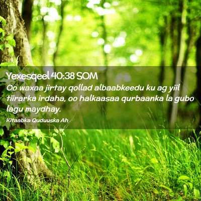 Picture 02 - Yexesqeel 40:38 SOM - Oo waxaa jirtay qollad albaabkeedu ku ag yiil - Bible Verse Picture