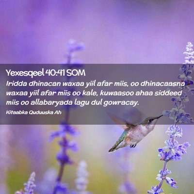 Picture 02 - Yexesqeel 40:41 SOM - Iridda dhinacan waxaa yiil afar miis, oo - Bible Verse Picture