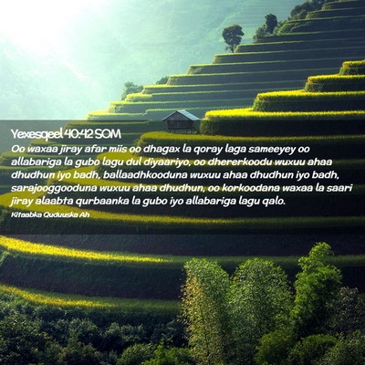 Picture 02 - Yexesqeel 40:42 SOM - Oo waxaa jiray afar miis oo dhagax la qoray laga - Bible Verse Picture