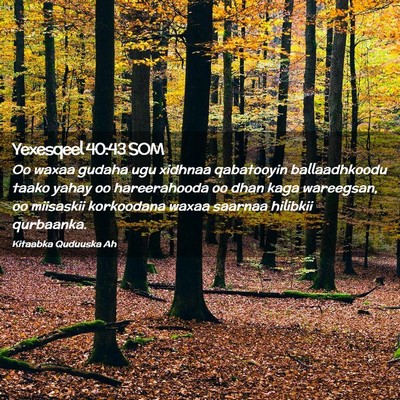 Picture 02 - Yexesqeel 40:43 SOM - Oo waxaa gudaha ugu xidhnaa qabatooyin - Bible Verse Picture