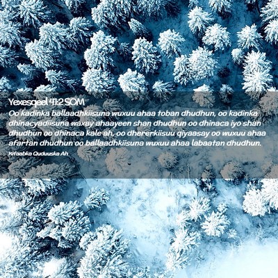 Picture 02 - Yexesqeel 41:2 SOM - Oo kadinka ballaadhkiisuna wuxuu ahaa toban - Bible Verse Picture