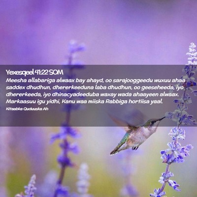 Picture 02 - Yexesqeel 41:22 SOM - Meesha allabariga alwaax bay ahayd, oo - Bible Verse Picture