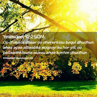 Picture 02 - Yexesqeel 42:2 SOM - Oo dhinaca dheer oo dhererkiisu boqol dhudhun - Bible Verse Picture