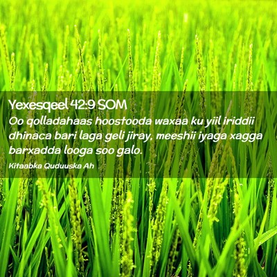 Picture 02 - Yexesqeel 42:9 SOM - Oo qolladahaas hoostooda waxaa ku yiil iriddii - Bible Verse Picture