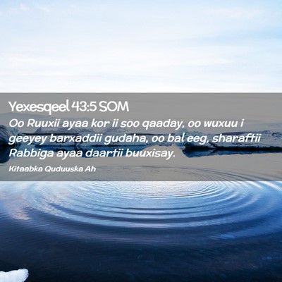 Picture 02 - Yexesqeel 43:5 SOM - Oo Ruuxii ayaa kor ii soo qaaday, oo wuxuu i - Bible Verse Picture