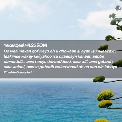 Picture 02 - Yexesqeel 44:25 SOM - Oo waa inayan qof meyd ah u dhowaan si ayan isu - Bible Verse Picture