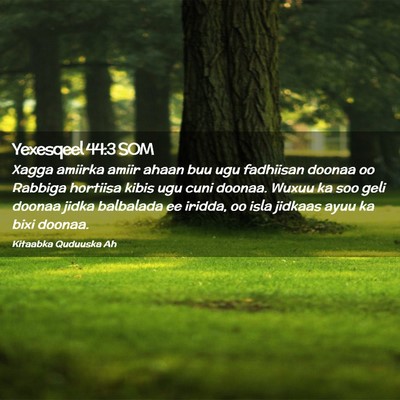 Picture 02 - Yexesqeel 44:3 SOM - Xagga amiirka amiir ahaan buu ugu fadhiisan - Bible Verse Picture