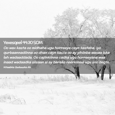 Picture 02 - Yexesqeel 44:30 SOM - Oo wax kasta oo midhaha ugu horreeya cayn - Bible Verse Picture