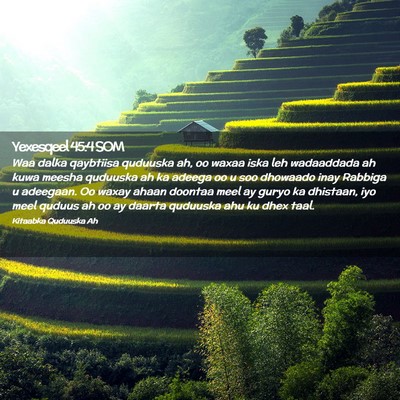 Picture 02 - Yexesqeel 45:4 SOM - Waa dalka qaybtiisa quduuska ah, oo waxaa iska - Bible Verse Picture