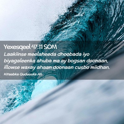 Picture 02 - Yexesqeel 47:11 SOM - Laakiinse meelaheeda dhoobada iyo biyagaleenka - Bible Verse Picture