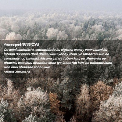 Picture 02 - Yexesqeel 48:13 SOM - Oo meel soohdinta wadaaddada ku xigtana waxay - Bible Verse Picture