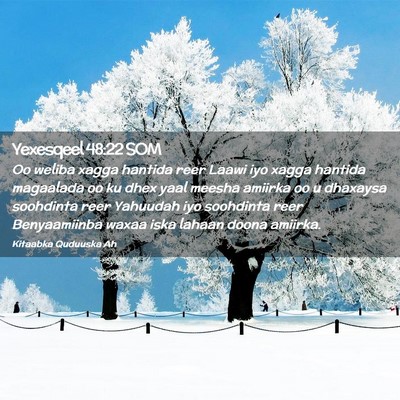 Picture 02 - Yexesqeel 48:22 SOM - Oo weliba xagga hantida reer Laawi iyo xagga - Bible Verse Picture
