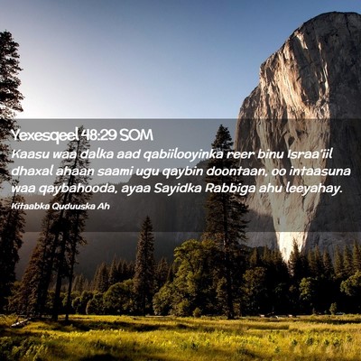 Picture 02 - Yexesqeel 48:29 SOM - Kaasu waa dalka aad qabiilooyinka reer binu - Bible Verse Picture
