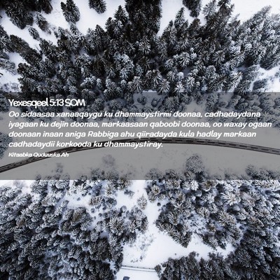 Picture 02 - Yexesqeel 5:13 SOM - Oo sidaasaa xanaaqaygu ku dhammaystirmi doonaa, - Bible Verse Picture