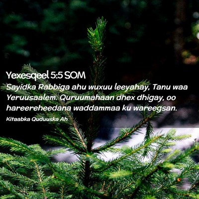 Picture 02 - Yexesqeel 5:5 SOM - Sayidka Rabbiga ahu wuxuu leeyahay, Tanu waa - Bible Verse Picture