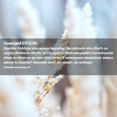 Picture 02 - Yexesqeel 6:11 SOM - Sayidka Rabbiga ahu wuxuu leeyahay, Sacabbada - Bible Verse Picture