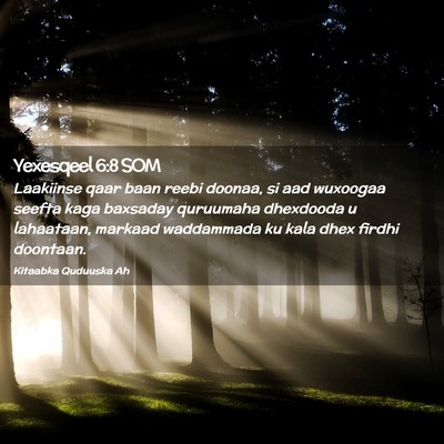 Picture 02 - Yexesqeel 6:8 SOM - Laakiinse qaar baan reebi doonaa, si aad wuxoogaa - Bible Verse Picture