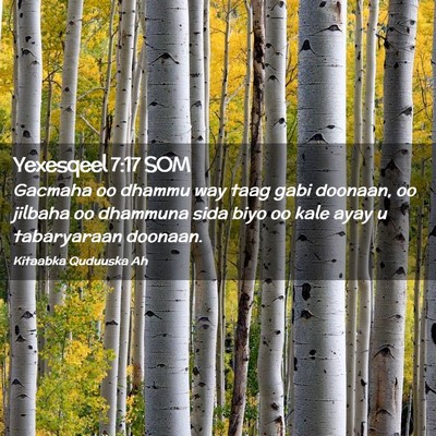 Picture 02 - Yexesqeel 7:17 SOM - Gacmaha oo dhammu way taag gabi doonaan, oo - Bible Verse Picture