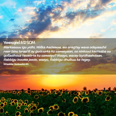 Picture 02 - Yexesqeel 8:12 SOM - Markaasuu igu yidhi, Wiilka Aadamow, ma aragtay - Bible Verse Picture