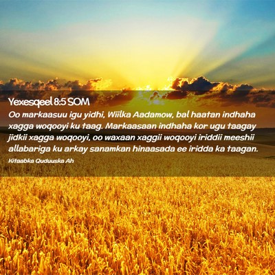 Picture 02 - Yexesqeel 8:5 SOM - Oo markaasuu igu yidhi, Wiilka Aadamow, bal - Bible Verse Picture
