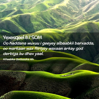 Picture 02 - Yexesqeel 8:7 SOM - Oo haddana wuxuu i geeyey albaabkii barxadda, oo - Bible Verse Picture
